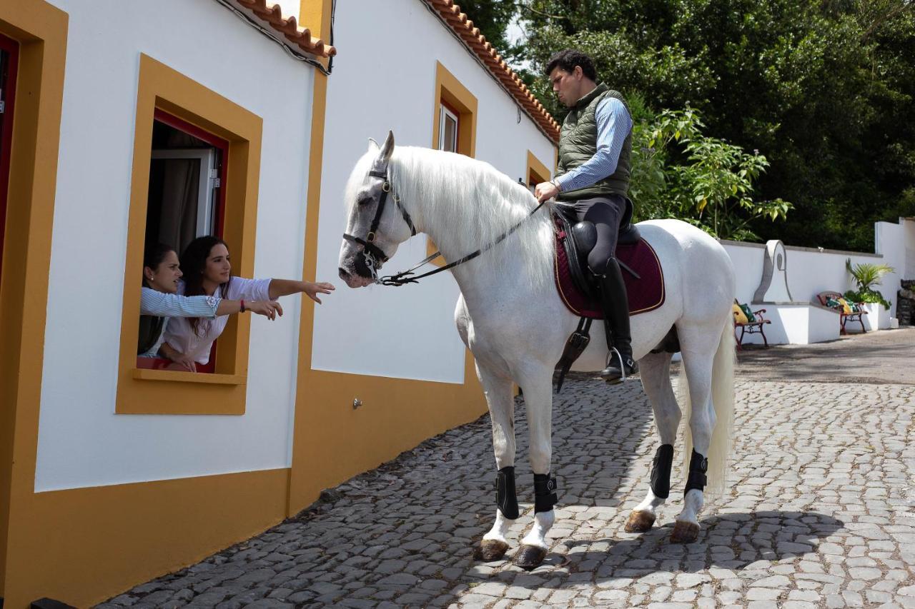 Villa Quinta Do Malhinha- Turismo Angra do Heroísmo Exterior foto